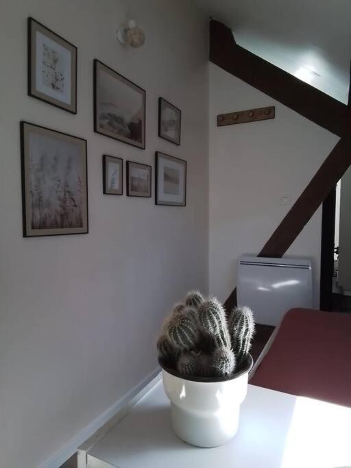 Charmante Petite Maison Vieux  Экстерьер фото